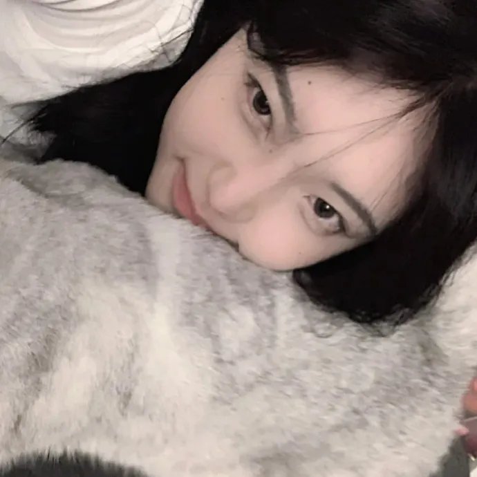 折翼鸟